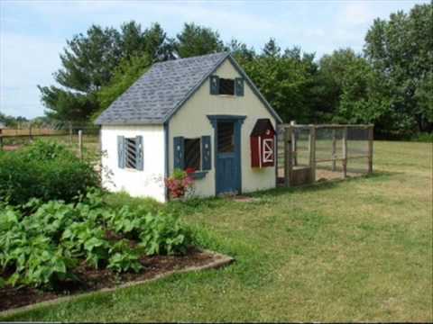 Easy Chicken Coop Layouts - YouTube