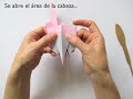 2 - How To Fold An Origami Cardinal