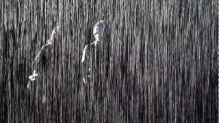 Random International - Rain Room