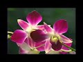 gậy ngắn 8 động tác.avi