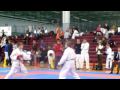 DragonCup 2010 Henri 1
