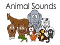 Animal Sounds for Children Toddlers Babies Kindergarten Preschoolers Kids with Animals Sound Effects