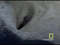 Exploring Oceans: Overview