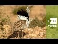 Fuerteventura, la isla radical