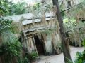Video Tour of The Gaylord Palms Resort in Orlando Florida