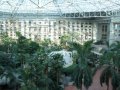 Video Tour of The Gaylord Palms Resort in Orlando Florida