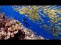  the Ribbon Reefs on Australia's Great Barrier Reef 