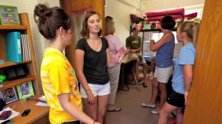 The Move-in