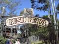 Bush Beast Lo Res