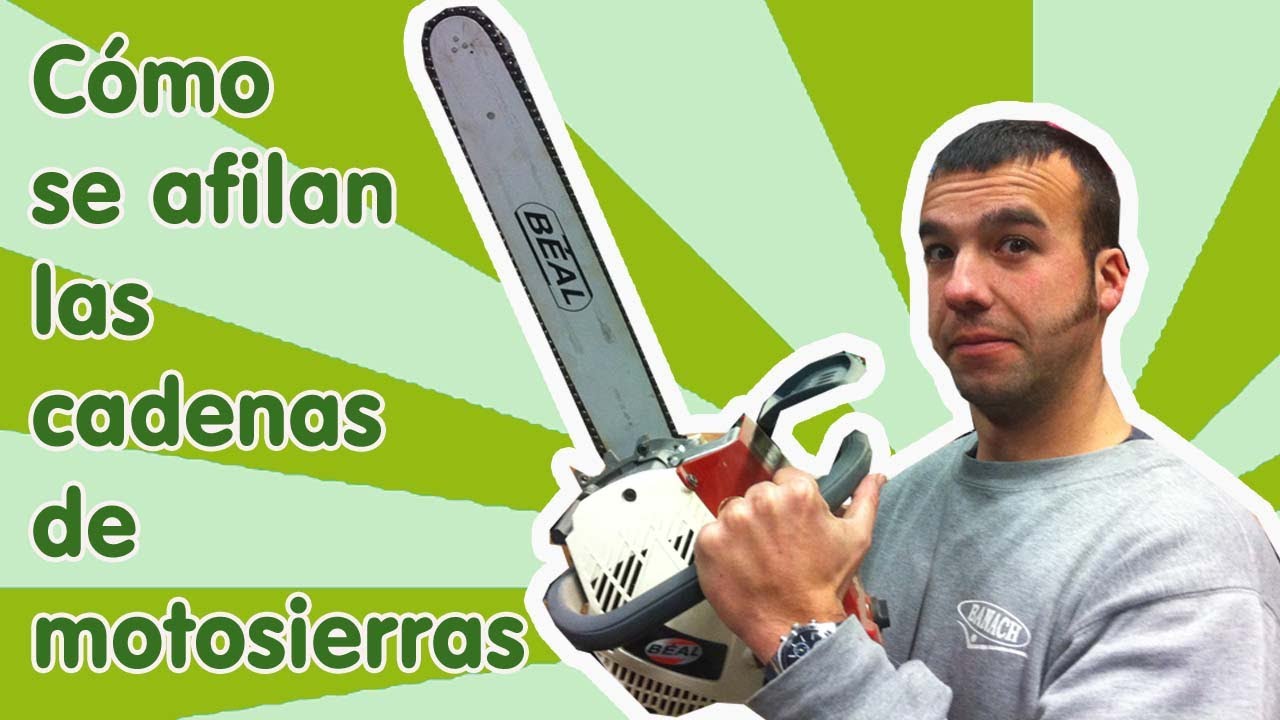 Cmo afilar cuchillas motosierra a mano