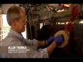 Factory Food in America