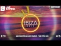 Andy Callister And Lucky Charmes - Turn Up The Bass