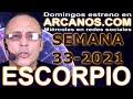 Video Horscopo Semanal ESCORPIO  del 8 al 14 Agosto 2021 (Semana 2021-33) (Lectura del Tarot)