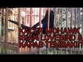 Kacer Mohawk isian Lovebird & Kapas Tembak album artwork