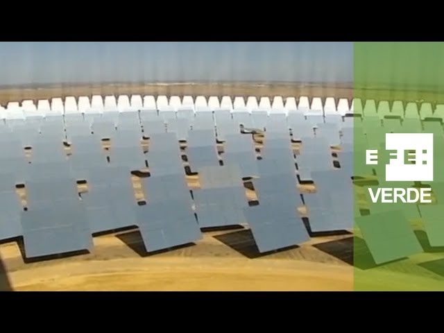 Empresas y biodiversidad. Una alianza para conservar la riqueza de la Red Natura