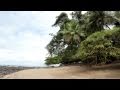 Corcovado Rainforest - Osa Peninsula - Costa Rica