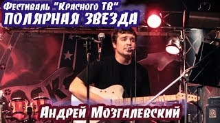 Фестиваль "Полярная звезда". Андрей Мозгалевский (Ленинград)