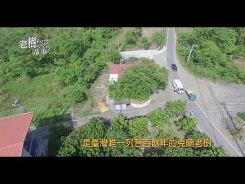 高雄市8棵百年老樹故事-克蘭樹(影片長度:4分45秒) 高雄市8棵百年老樹故事-克蘭樹(影片長度:4分45秒)