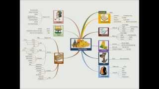 Mind Mapping: How to Create a Mind Map in 4 Steps