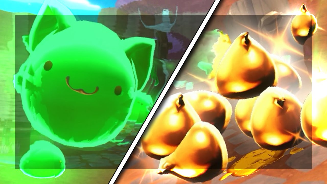 Slime rancher как сделать золотого Slime rancher как сделать золотого