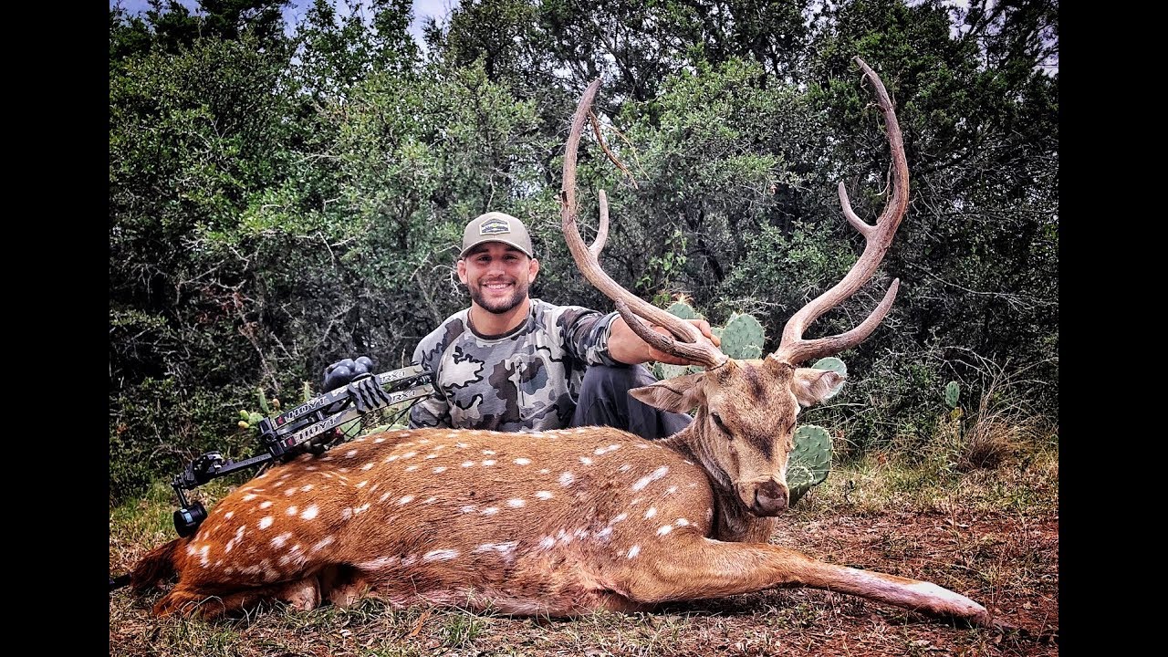 Free+hunting+in+texas.html.