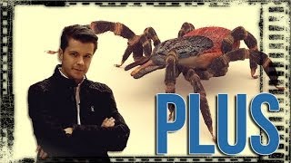 + Atak kleszczy | Plus #55