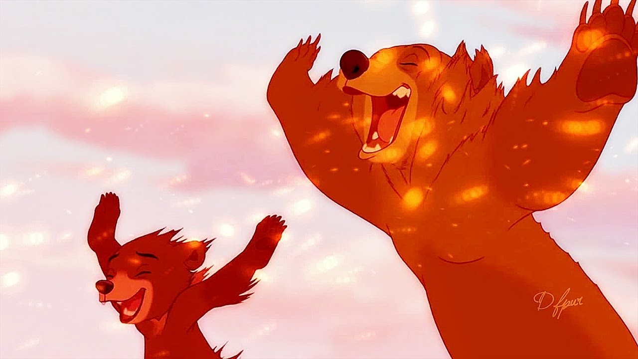 brother bear and the lion king dvd