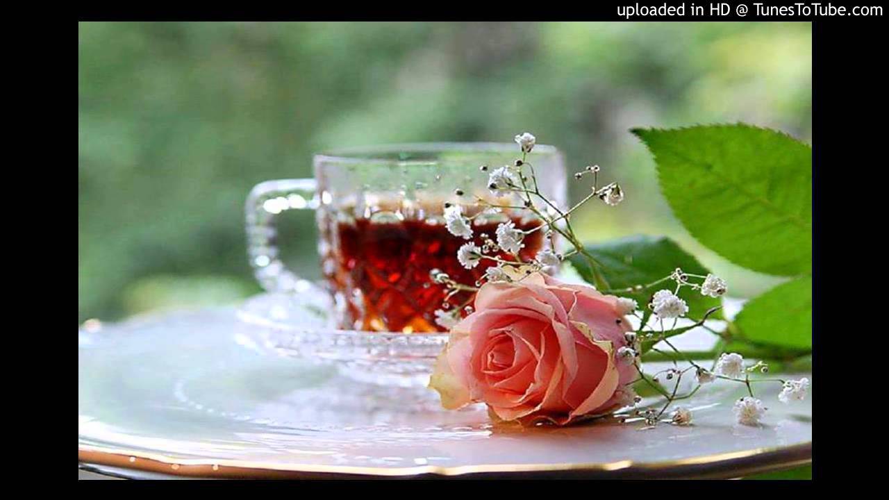 download asta seara dansam in familie hd