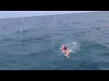 Raw: Fla. Teen Catches Ride With Whale Shark