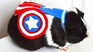 SUPERHERO RODENTS -- Game LÜT #17