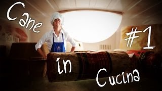 Cane in Cucina #1 - Cane Secco