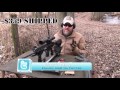 Wolf Gold .223 Ammo