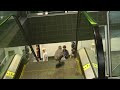 cute confused bird on an escalator.avi