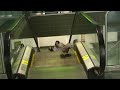 cute confused bird on an escalator.avi