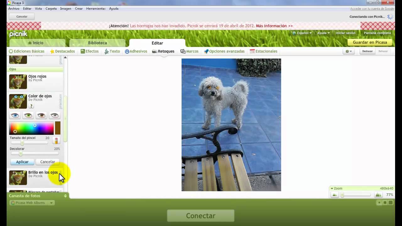 find my picasa photos find my picasa photos