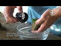 Tips and tricks for handling plants in the aquarium, Tropica Aquarium Plants