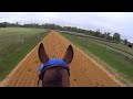 Jockey Cam Horse FAST galloping 44mph.ORB? GoPro Hero 3
