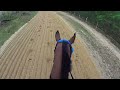 Jockey Cam Horse FAST galloping 44mph.ORB? GoPro Hero 3