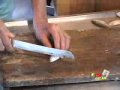 Como limpar lambaris com extrema rapidez