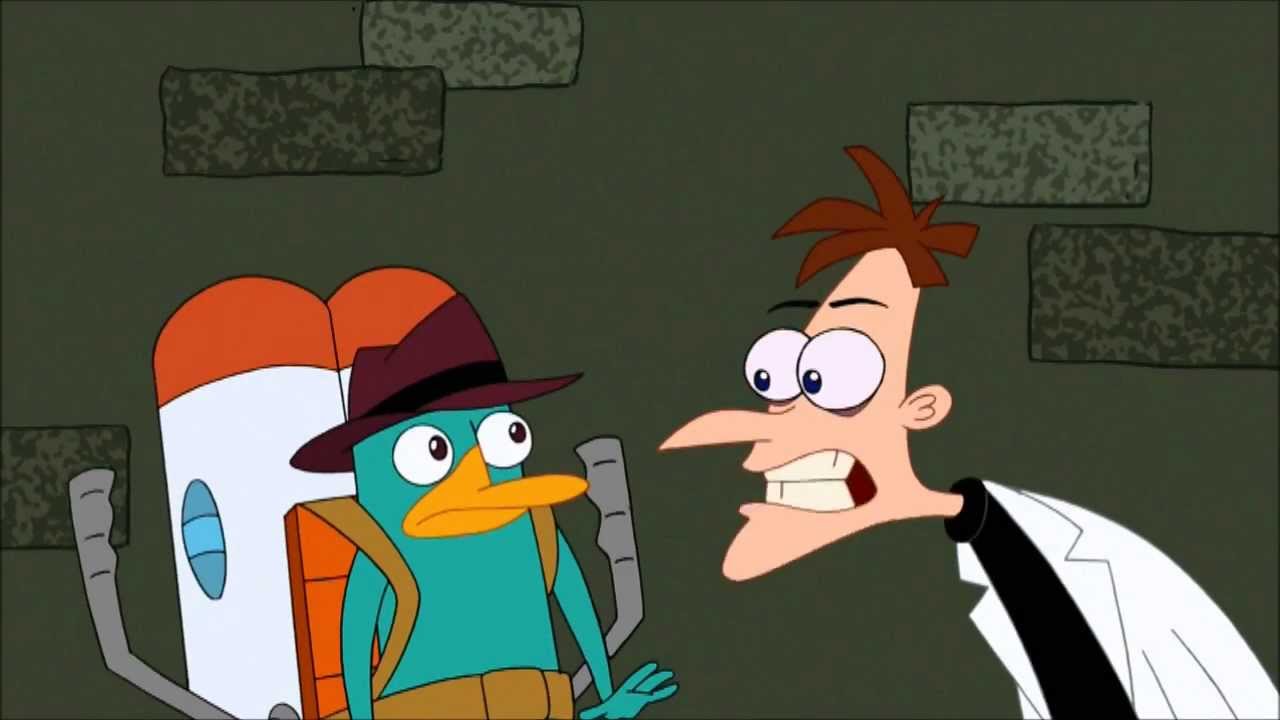 perry vs a real platypus
