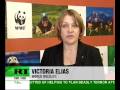 Climate summit: bears pushed aside
