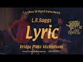 L. R. Baggs Lyric Bridge Plate Microphone Installation, Demo and Review