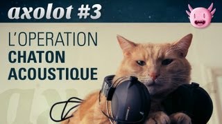 Axolot #3 : L'Opération Chaton Acoustique