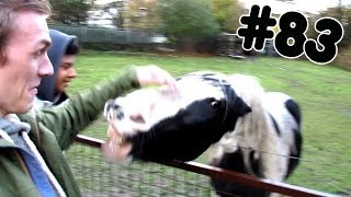 KNOLPOWER MET KNOL! + PARODIE - DHD VLOG #83