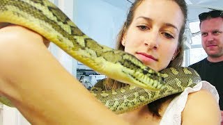 GIRL VS GIANT SNAKE!!