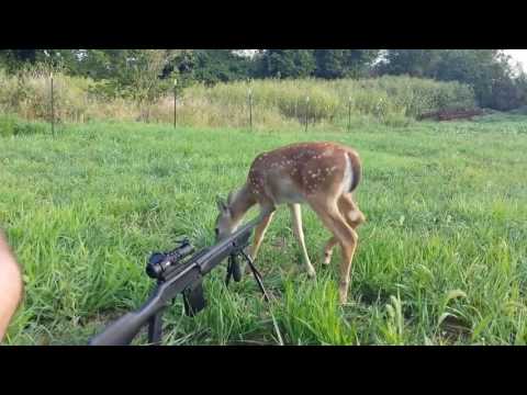 Best Hunting/Gun Fails Compilation