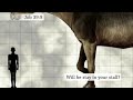 giant giraffe rhinoceros