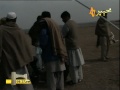 Murgha Fight Aseel Mianwali Faizan Mobiles Tank 1/5