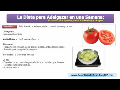 Instrumento musical quemar grasa corporal con ejercicio medida Activa, cada quemar grasa corporal con ejercicio est Lipo-6 Negro