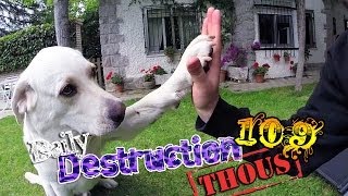 Daily Destruction Thous 109 - Liando con Perrete y la final de la Champions